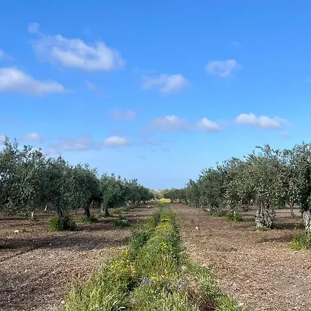Dimora Di Dante 4* Chiaramonte Gulfi