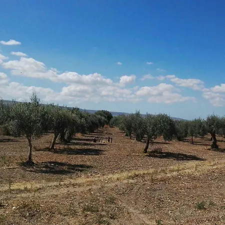 Dimora Di Dante Bed & Breakfast 4*