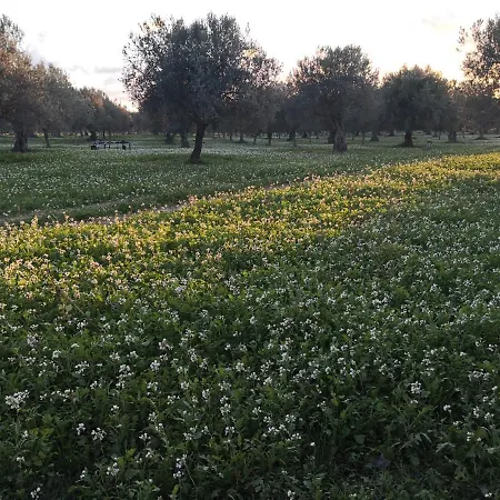 Dimora Di Dante Bed & Breakfast Chiaramonte Gulfi