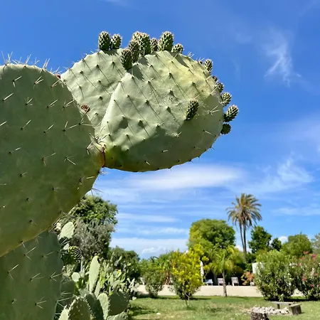 לינה וארוחת בוקר Dimora Di Dante