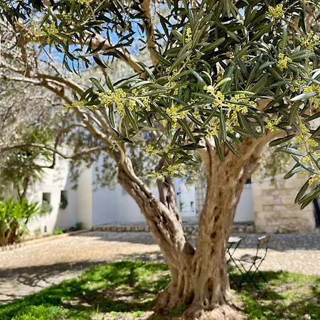 Dimora Di Dante לינה וארוחת בוקר קיארמונטה גולפי