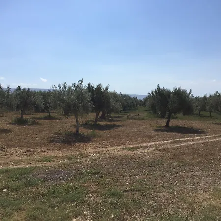 Dimora Di Dante לינה וארוחת בוקר 4*