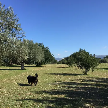 לינה וארוחת בוקר Dimora Di Dante