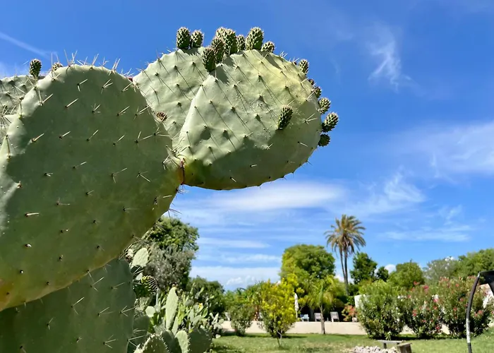 Bed & Breakfast Dimora Di Dante