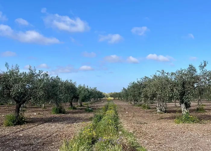 Dimora Di Dante 4* Chiaramonte Gulfi