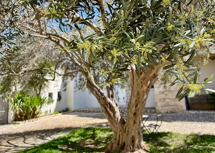 Dimora Di Dante Bed & Breakfast Chiaramonte Gulfi