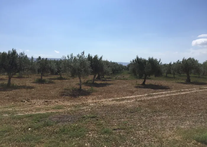 Dimora Di Dante Bed & Breakfast 4*