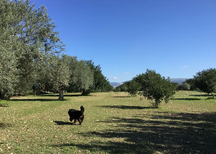 Bed & Breakfast Dimora Di Dante